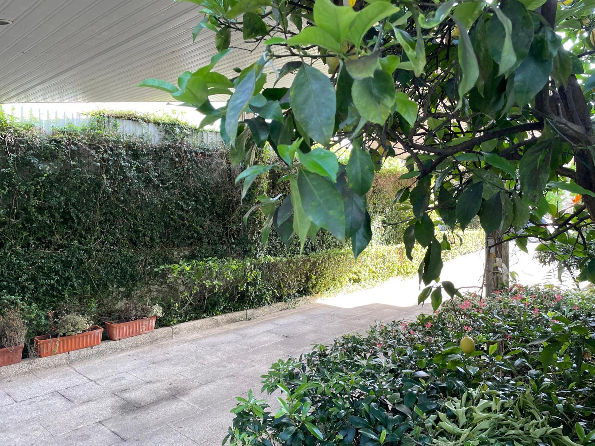 Casa Do Paco *